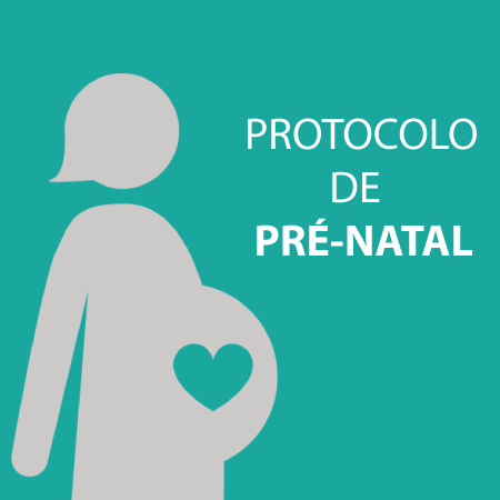 Protocolo Pré-natal Consulta pública - Prefeitura de Belo Jardim