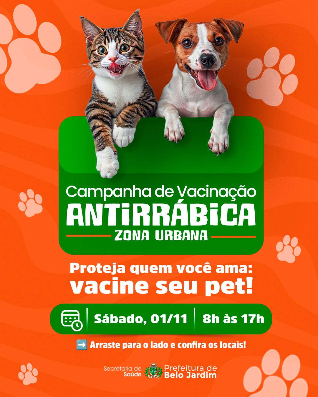 Imagem sem descrição